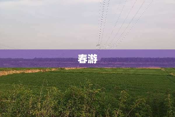 春游
