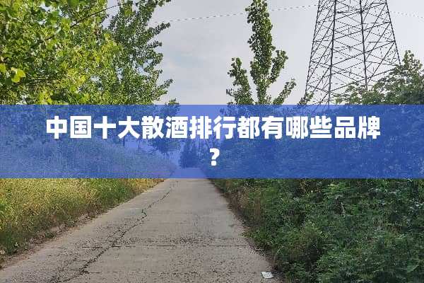 中国十大散酒排行都有哪些品牌？