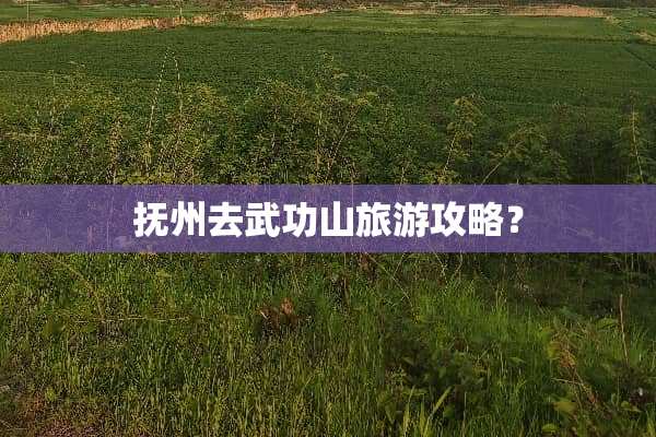 抚州去武功山旅游攻略？