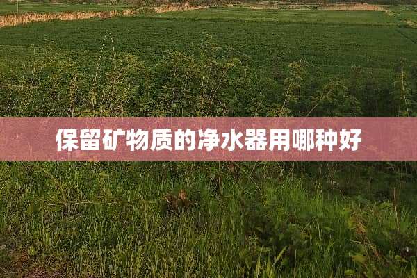 保留矿物质的***用哪种好