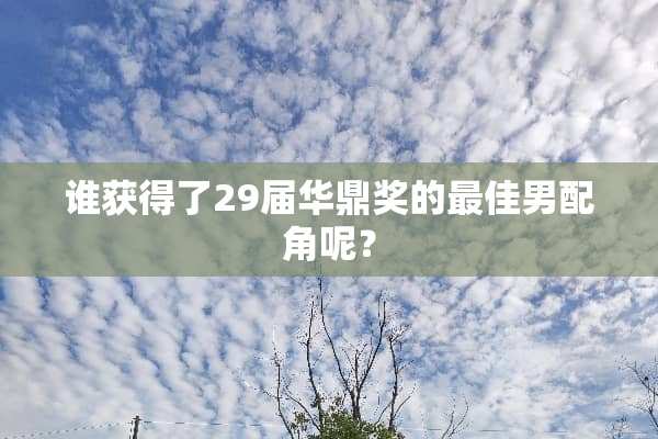 谁获得了29届华鼎奖的最佳男配角呢？