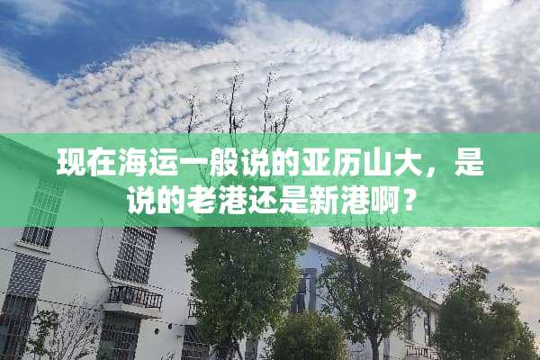 现在海运一般说的亚历山大，是说的老港还是新港啊？