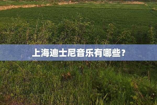 上海迪士尼音乐有哪些？