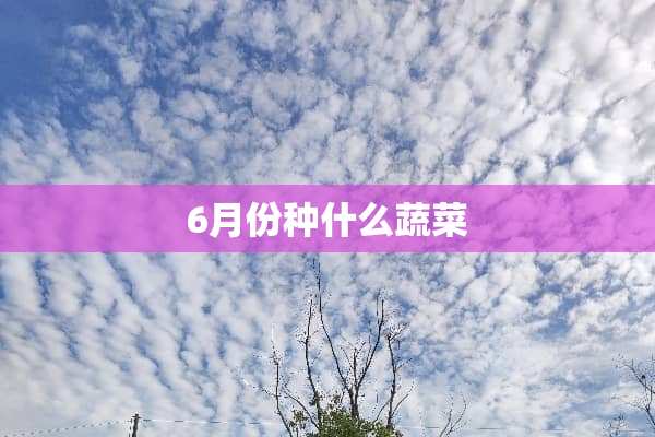 6月份种什么蔬菜