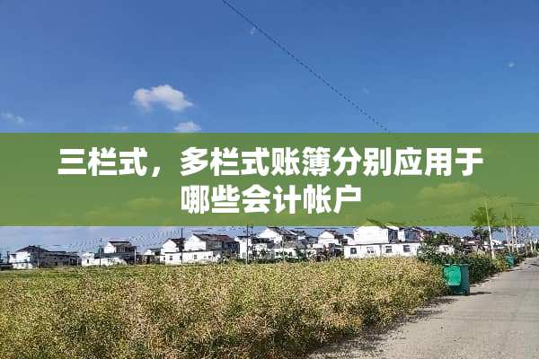 三栏式，多栏式账簿分别应用于哪些会计帐户