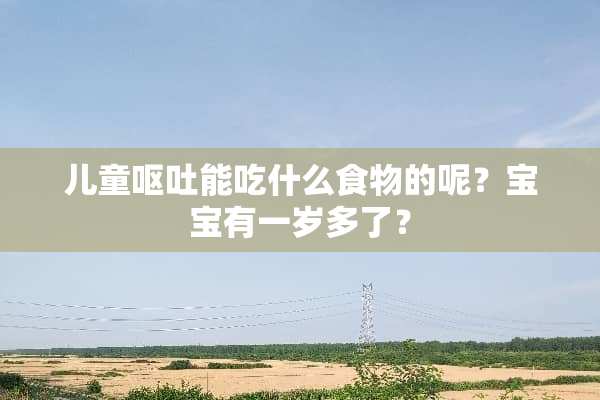 儿童呕吐能吃什么食物的呢？宝宝有一岁多了？