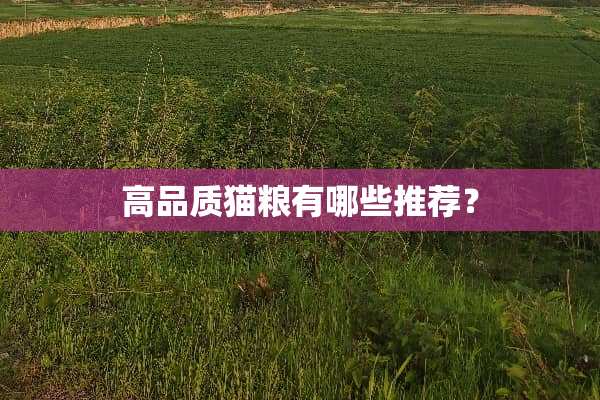 高品质猫粮有哪些推荐？