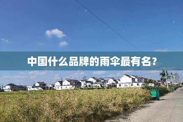 中国什么品牌的雨伞最有名？