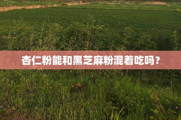 杏仁粉能和黑芝麻粉混着吃吗？