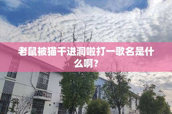 老鼠被猫干进洞啦打一歌名是什么啊？