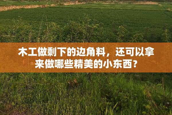木工做剩下的边角料，还可以拿来做哪些精美的小东西？