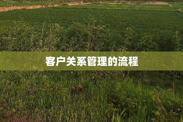 客户关系管理的流程