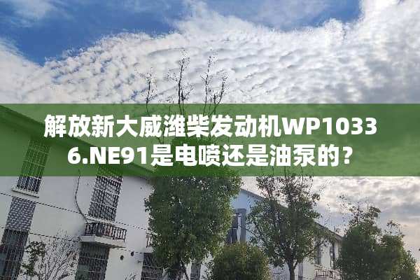 解放新大威潍柴发动机WP10336.NE91是电喷还是油泵的？