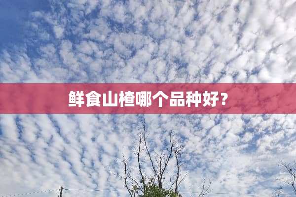 鲜食山楂哪个品种好？