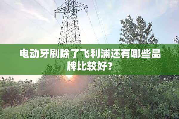 电动牙刷除了飞利浦还有哪些品牌比较好？