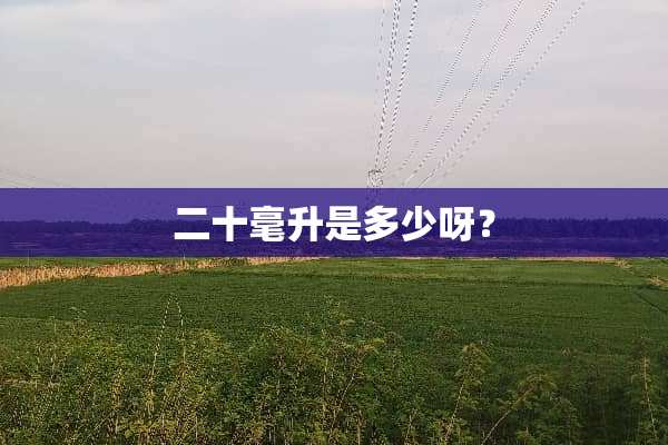 二十毫升是多少呀？