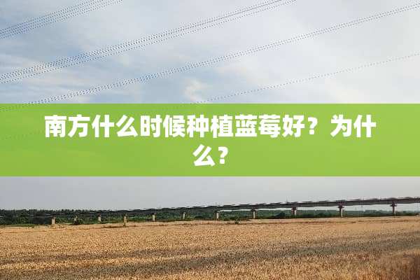 南方什么时候种植蓝莓好？为什么？