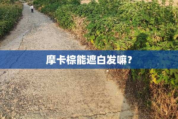 摩卡棕能遮白发嘛？