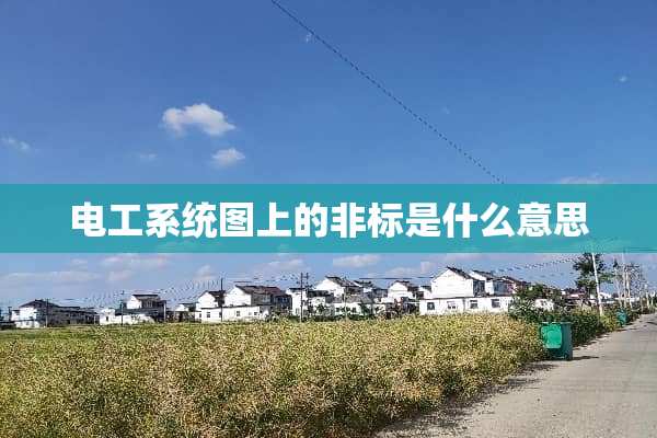 电工系统图上的非标是什么意思