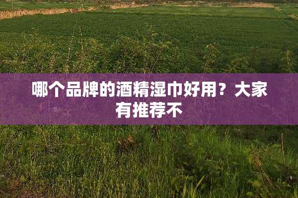哪个品牌的酒精湿巾好用？大家有推荐不