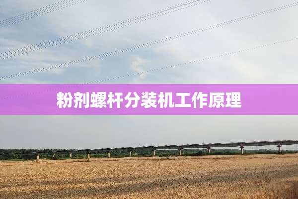 粉剂螺杆分装机工作原理