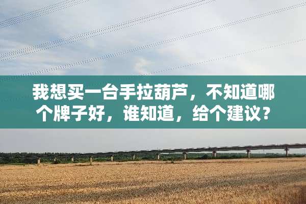 我想买一台手拉葫芦，不知道哪个牌子好，谁知道，给个建议？