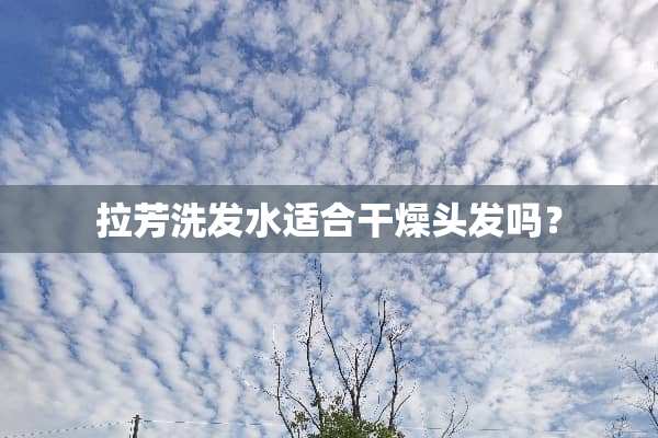 拉芳洗发水适合干燥头发吗？