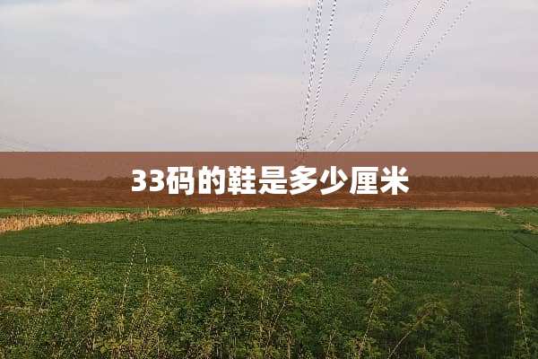 33码的鞋是多少厘米