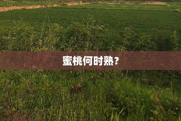**何时熟？