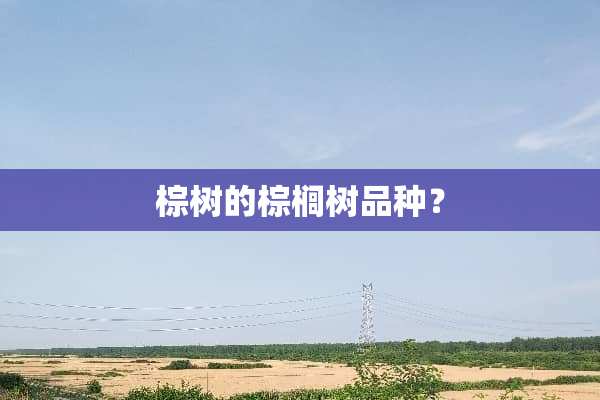 棕树的棕榈树品种？