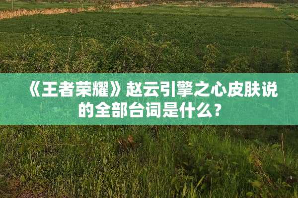《王者荣耀》赵云引擎之心皮肤说的全部台词是什么？