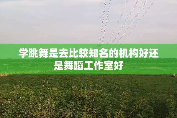 学跳舞是去比较知名的机构好还是舞蹈工作室好