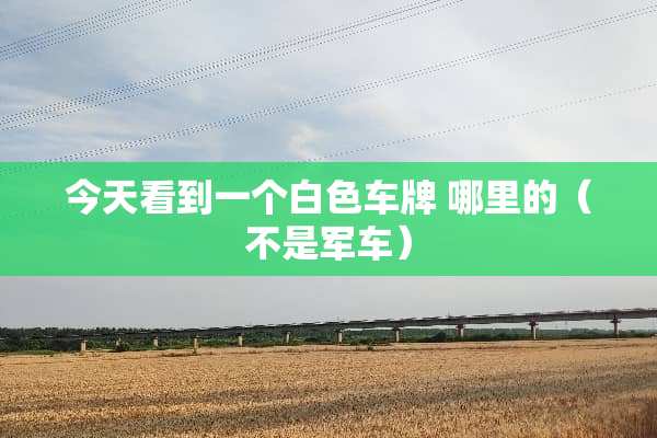 今天看到一个白色车牌 哪里的（不是**）
