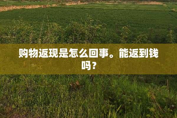 购物返现是怎么回事。能返到钱吗？