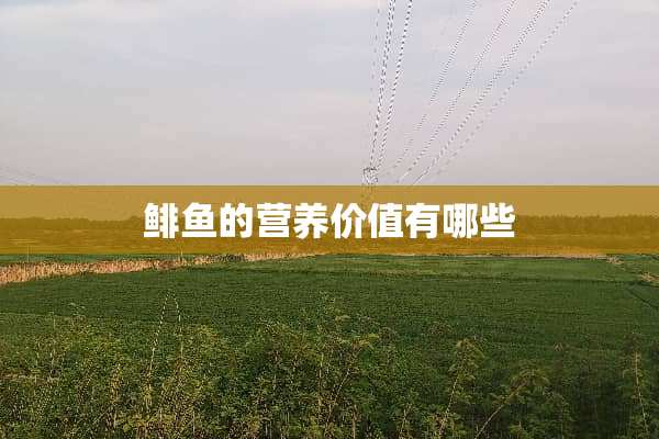 鲱鱼的营养价值有哪些