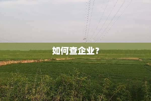 如何查企业？