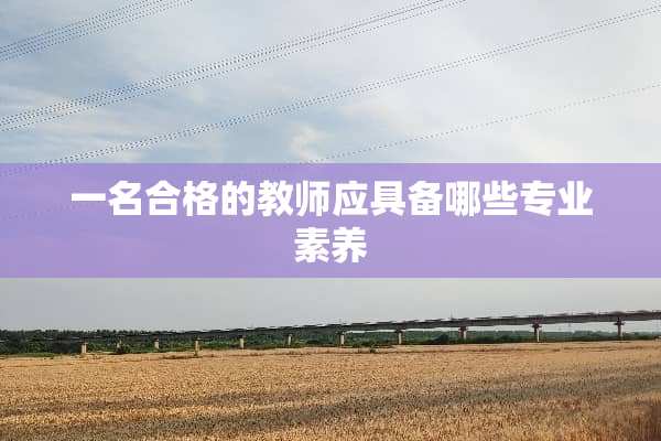 一名合格的教师应具备哪些专业素养