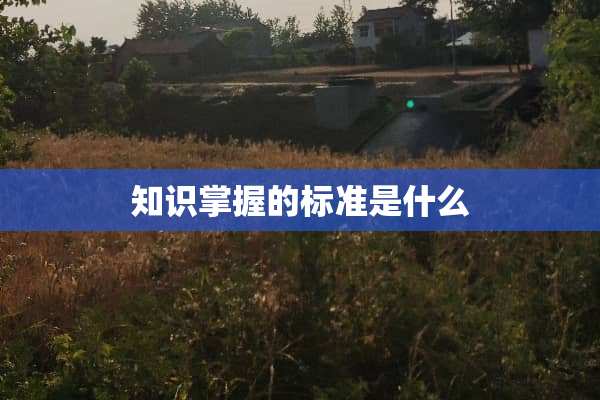 知识掌握的标准是什么
