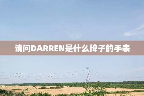 请问DARREN是什么牌子的手表