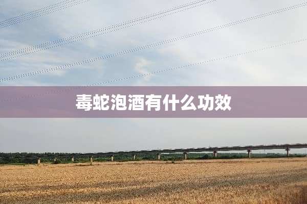 毒蛇泡酒有什么功效