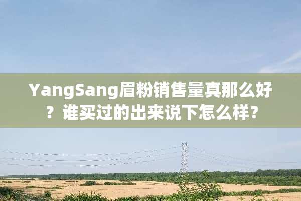 YangSang眉粉销售量真那么好？谁买过的出来说下怎么样？