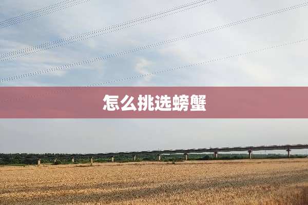 怎么挑选螃蟹
