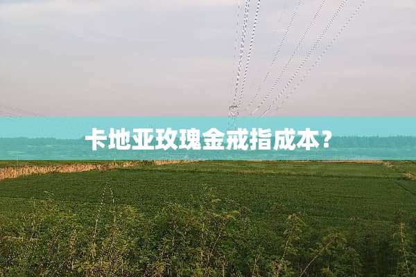 卡地亚玫瑰金戒指成本？