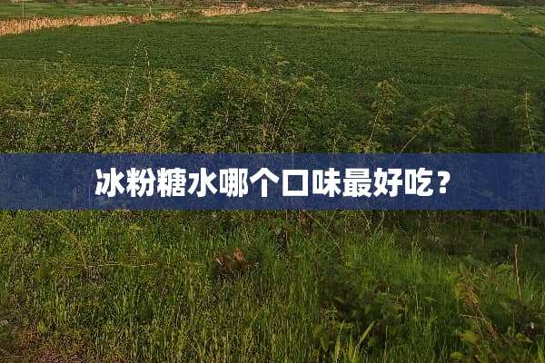 冰粉糖水哪个口味最好吃？