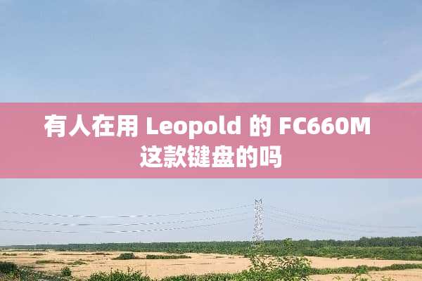 有人在用 Leopold 的 FC660M 这款键盘的吗