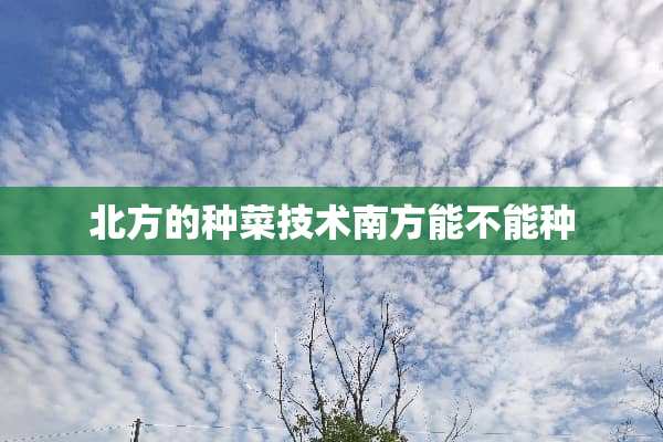 北方的种菜技术南方能不能种