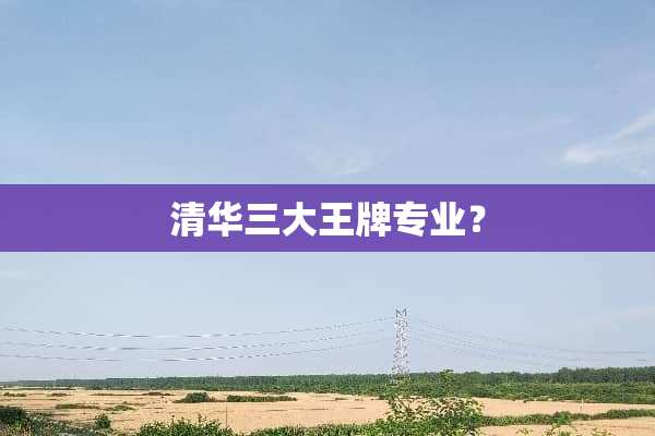 清华三大王牌专业？
