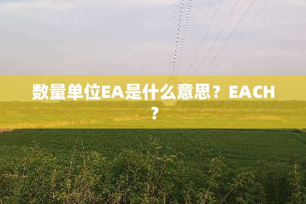 数量单位EA是什么意思？EACH？