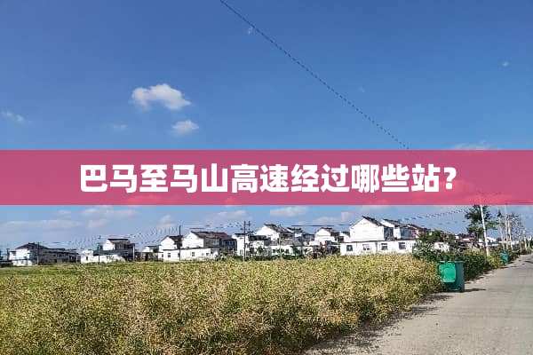 巴马至马山高速经过哪些站？