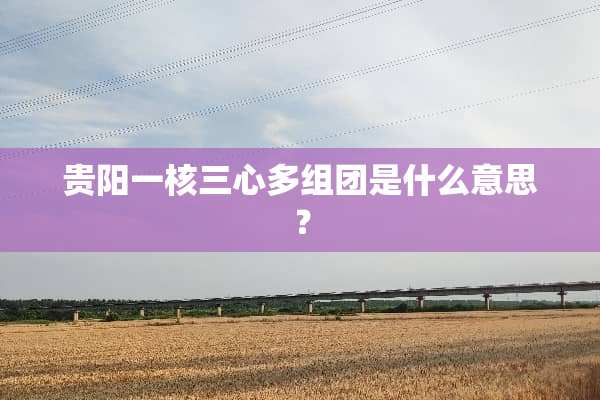 贵阳一核三心多组团是什么意思？
